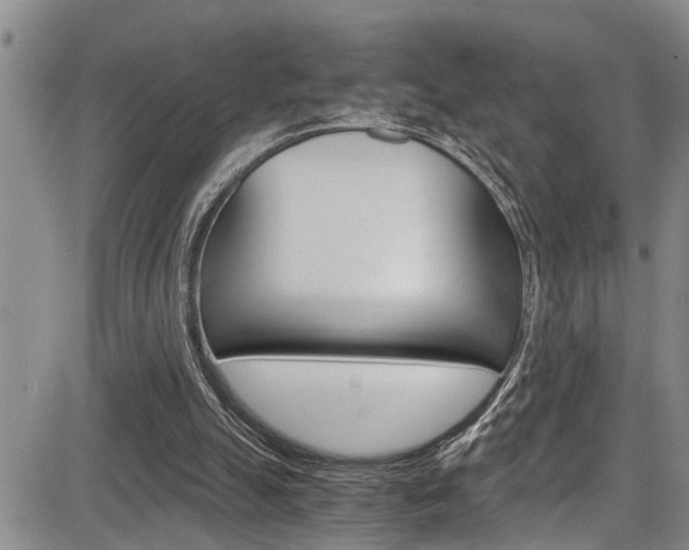 X0000084030055200702160902