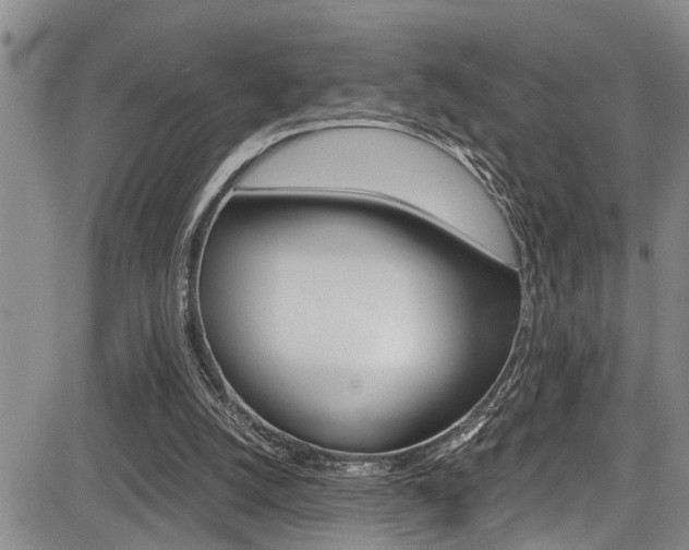 X0000084030056200702160902