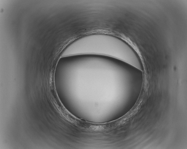 X0000084030057200702160902