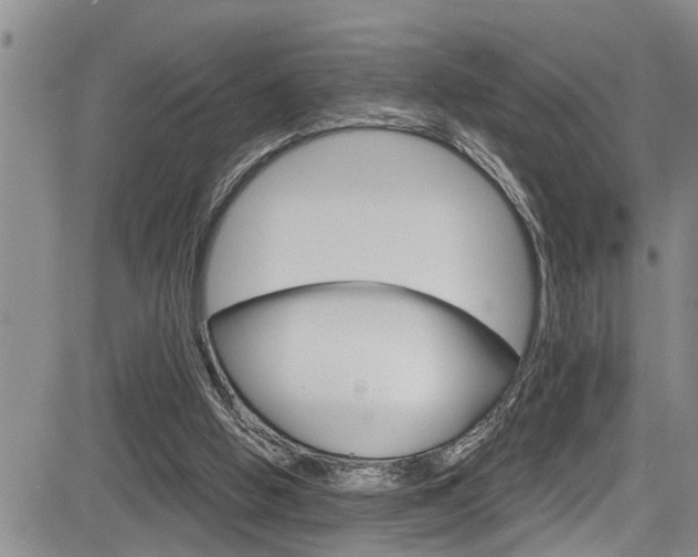 X0000084030058200702160902