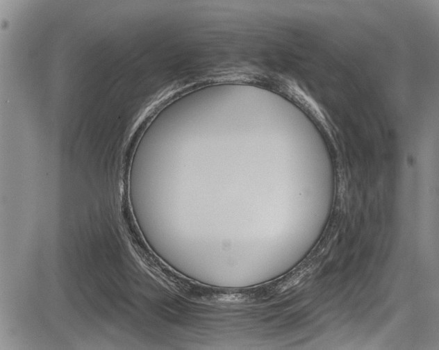 X0000084030059200702160902