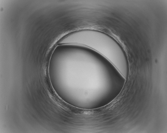 X0000084030060200702160902