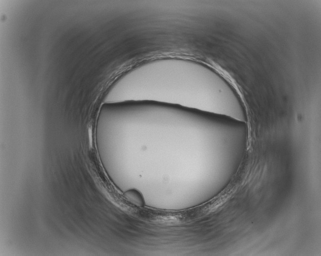 X0000084030061200702160902