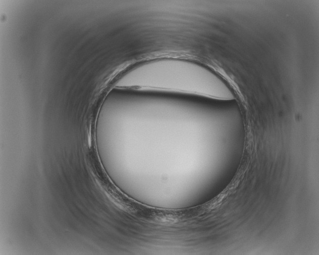 X0000084030062200702160902