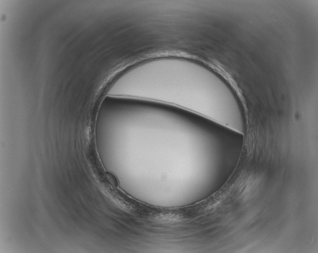 X0000084030063200702160902