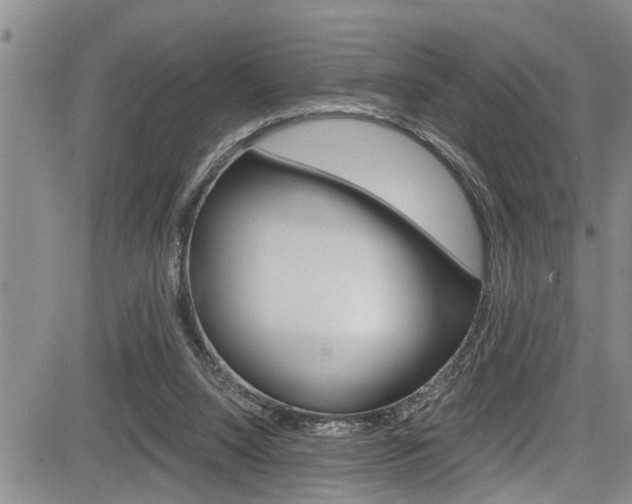 X0000084030064200702160902