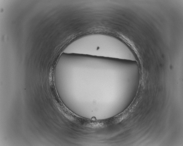 X0000084030065200702160902