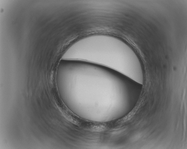 X0000084030066200702160902