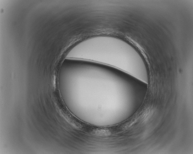 X0000084030067200702160902