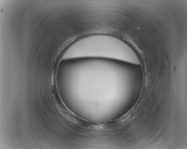 X0000084030068200702160902