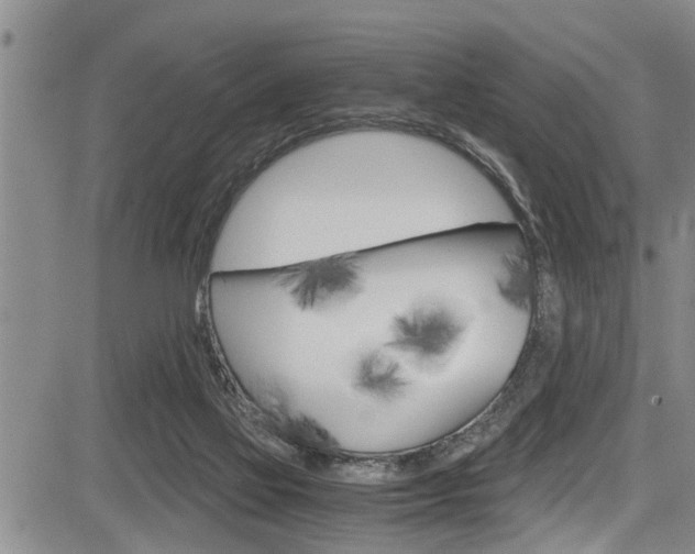 X0000084030069200702160903