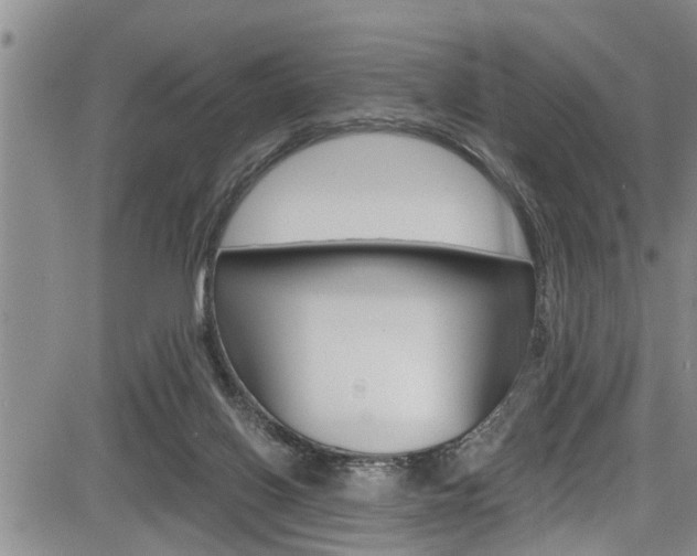 X0000084030070200702160903