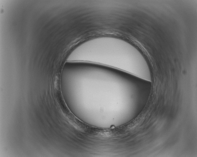 X0000084030071200702160903