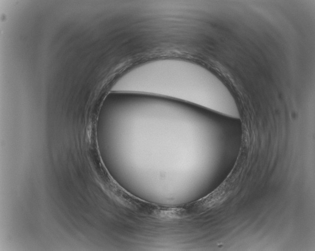 X0000084030072200702160903