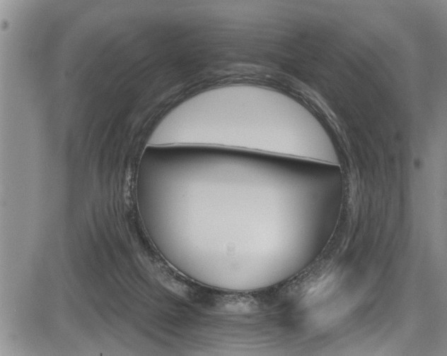 X0000084030073200702160903