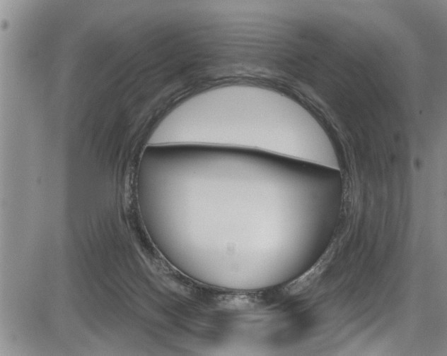 X0000084030074200702160903