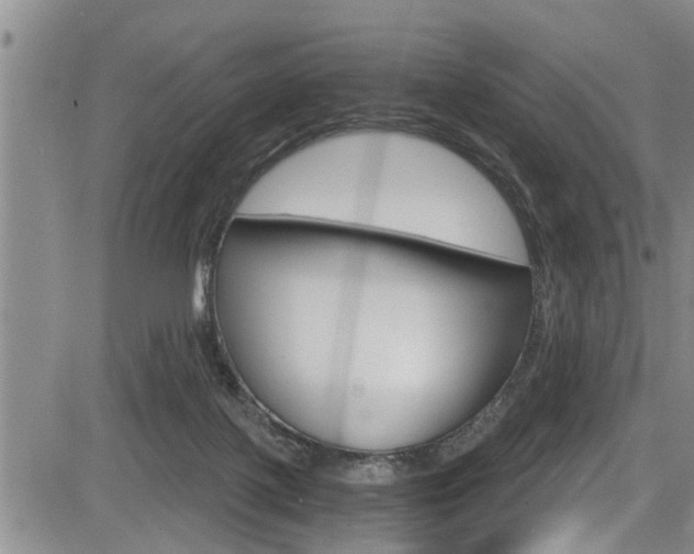 X0000084030075200702160903