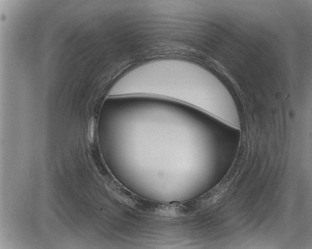 X0000084030076200702160903