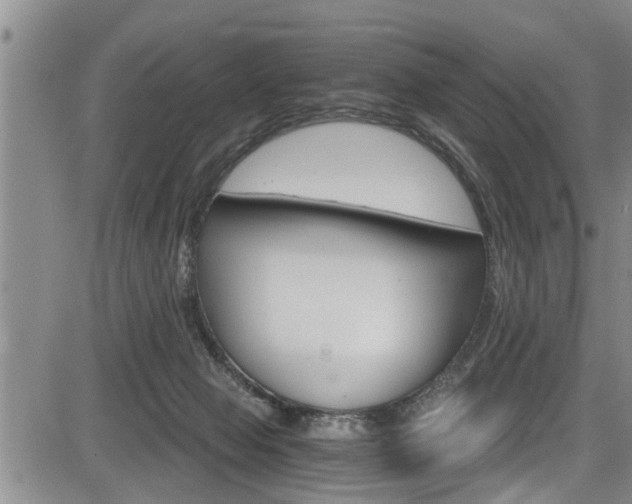 X0000084030077200702160903