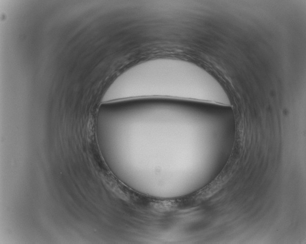 X0000084030079200702160903