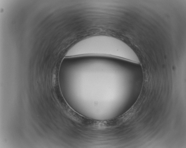 X0000084030080200702160903