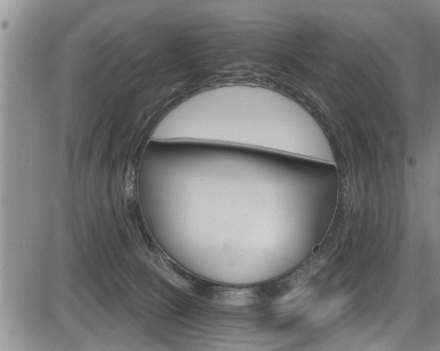 X0000084030081200702160903