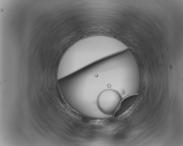 X0000084030082200702160903