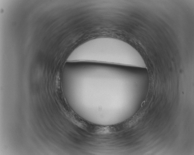 X0000084030083200702160903