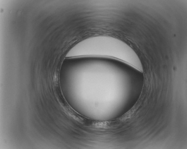 X0000084030084200702160903