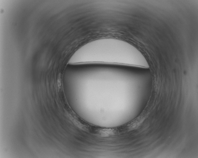 X0000084030085200702160903