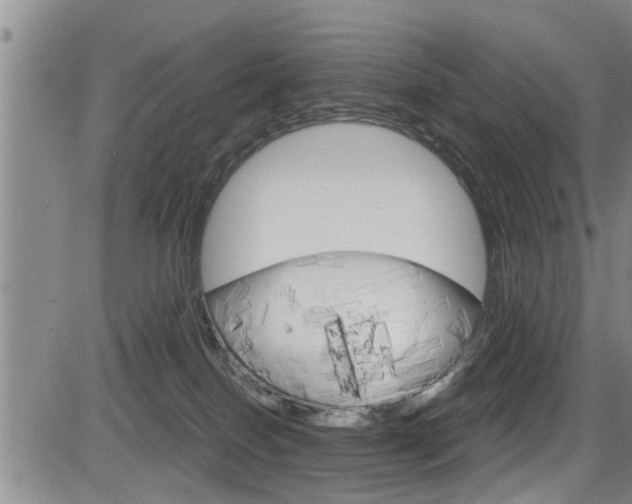 X0000084030086200702160903