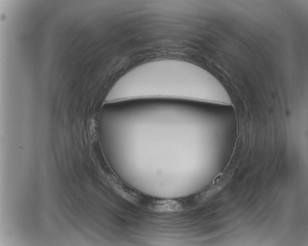 X0000084030087200702160903