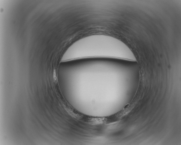 X0000084030089200702160903