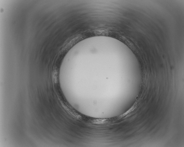 X0000084030090200702160903