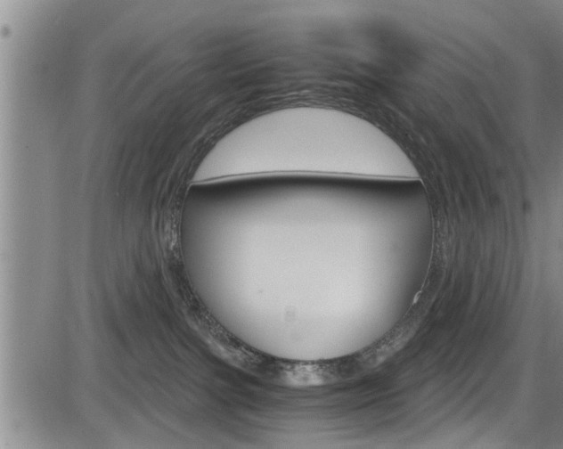 X0000084030091200702160903