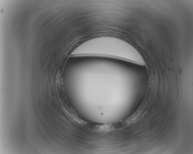 X0000084030092200702160903