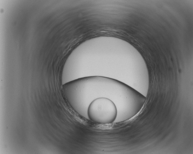 X0000084030094200702160903