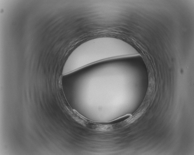 X0000084030096200702160903