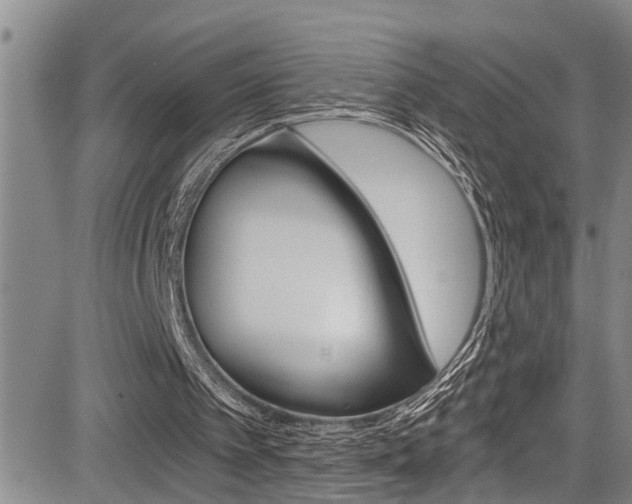 X0000084030097200702160902