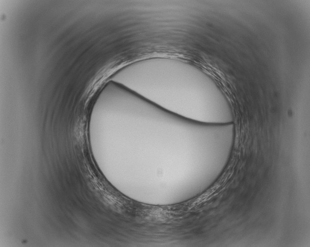 X0000084030098200702160902