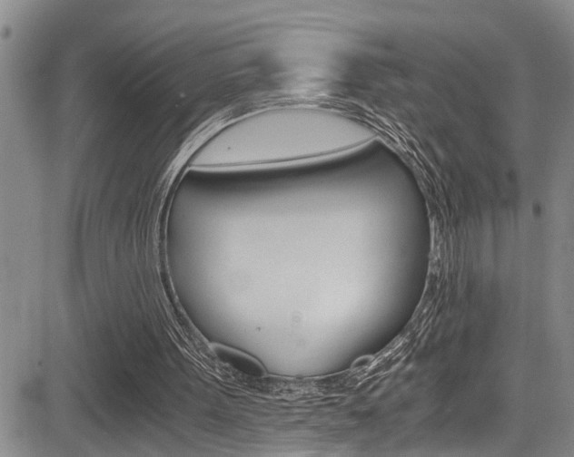 X0000084030099200702160902