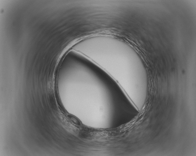 X0000084030100200702160902