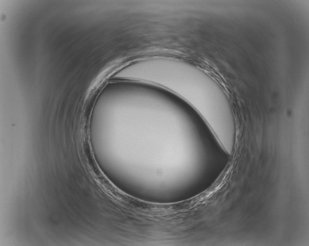 X0000084030101200702160902