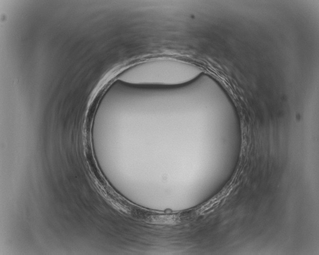 X0000084030102200702160902