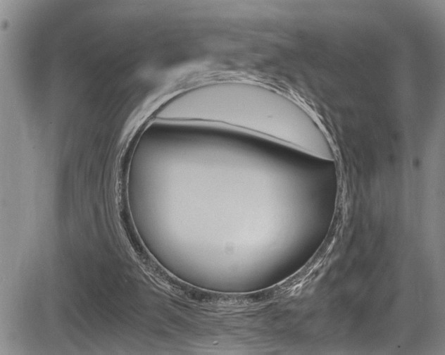 X0000084030103200702160902