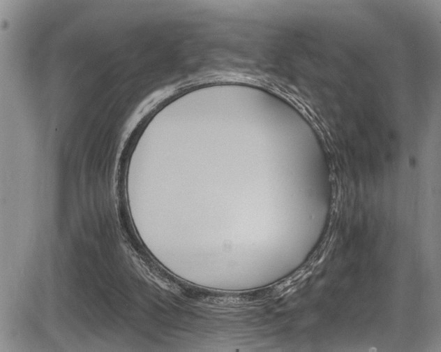 X0000084030104200702160902