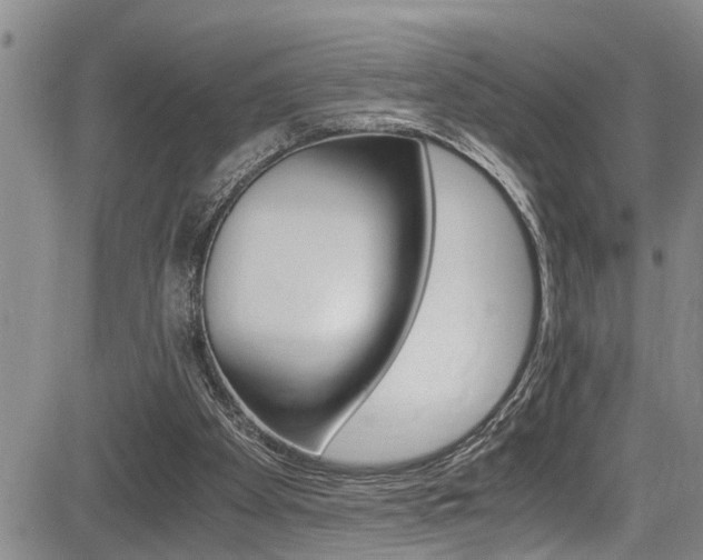 X0000084030105200702160902