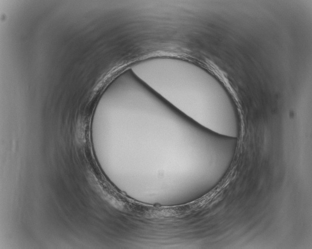 X0000084030106200702160902