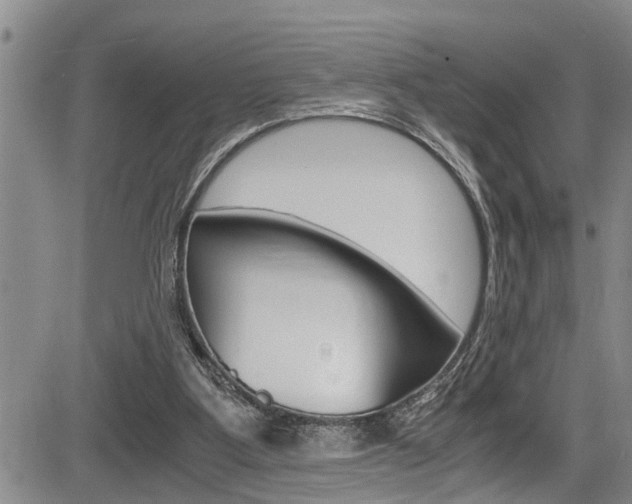 X0000084030107200702160902