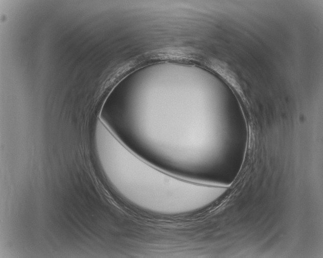 X0000084030109200702160902